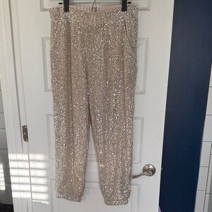 LOFT Champagne Sequin Joggers